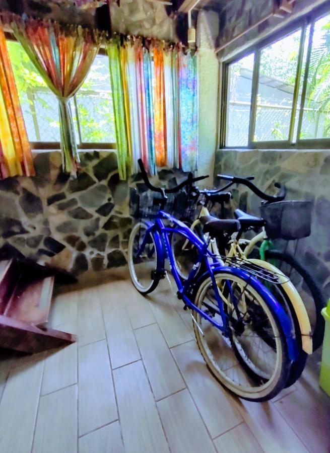 Casajungla Hostal