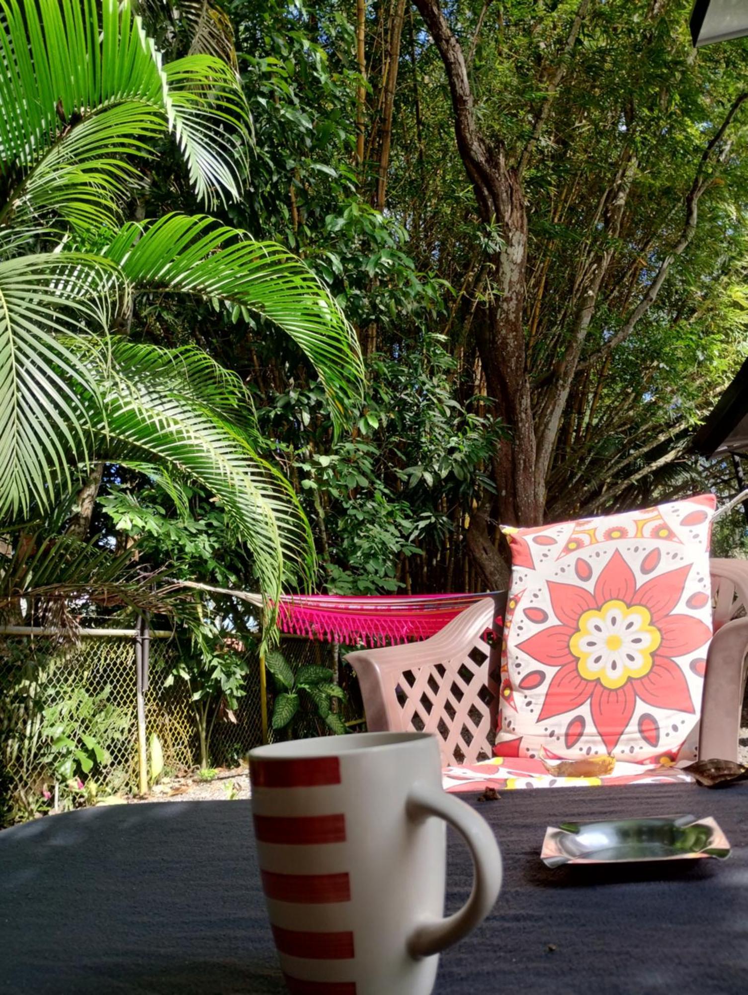 Hostal Casajungla *