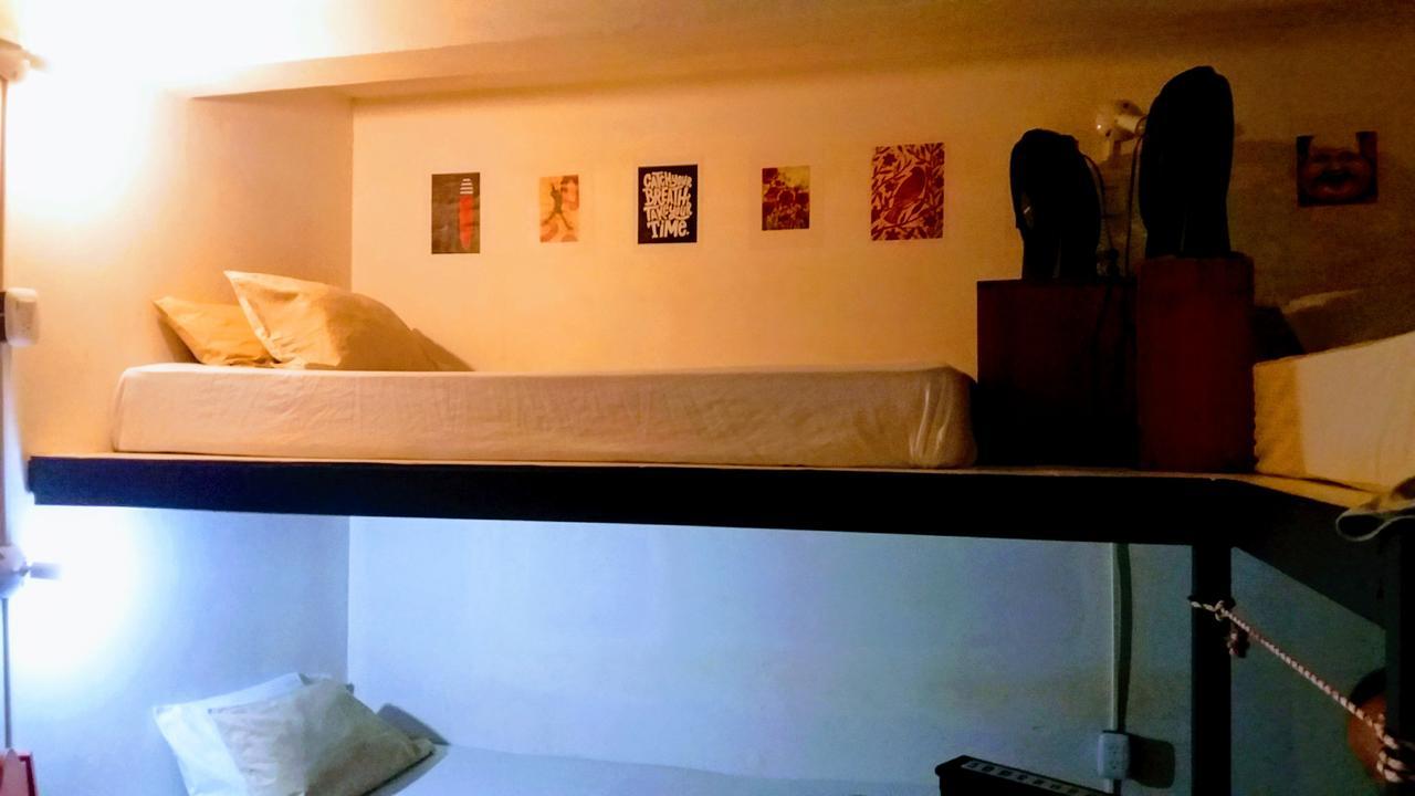 Casajungla